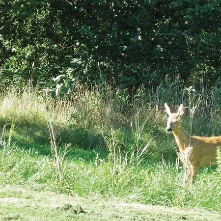 Vibelunden Rodby V 度假居