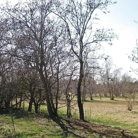 Vibelunden Rodby V 度假居 Rødby